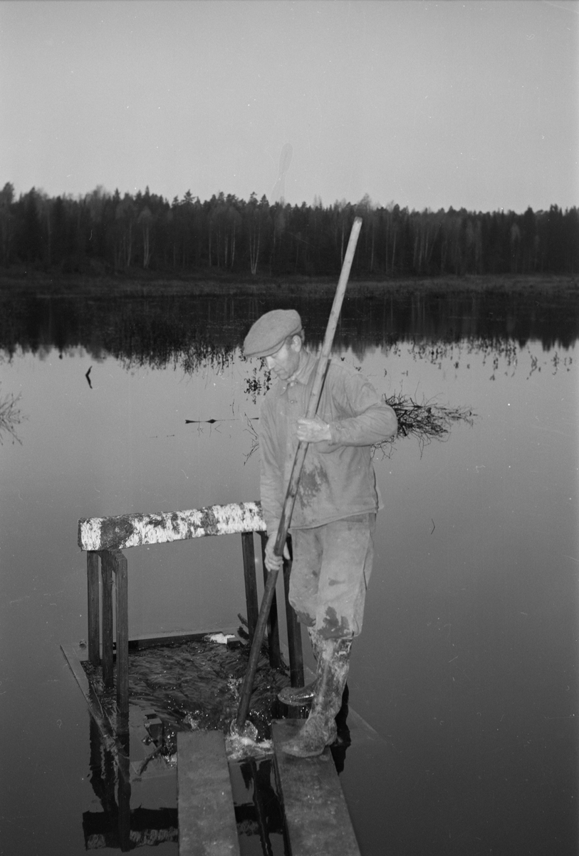Ny sjö, Rasbokil, Rasbokils socken, Uppland, oktober 1952
