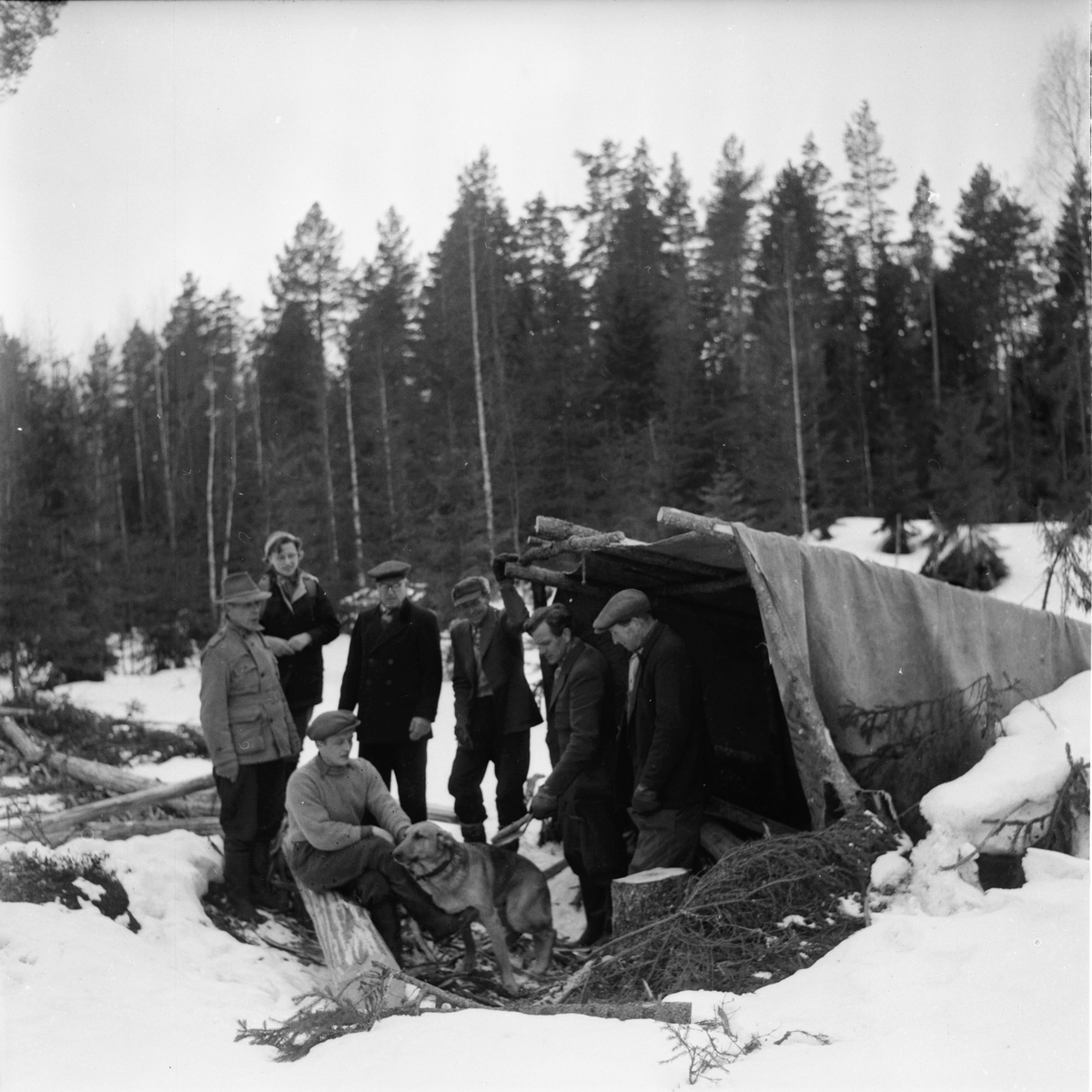 Drivningar på Håsnäs.
Josef Lindberg.
Söderala april- 1956