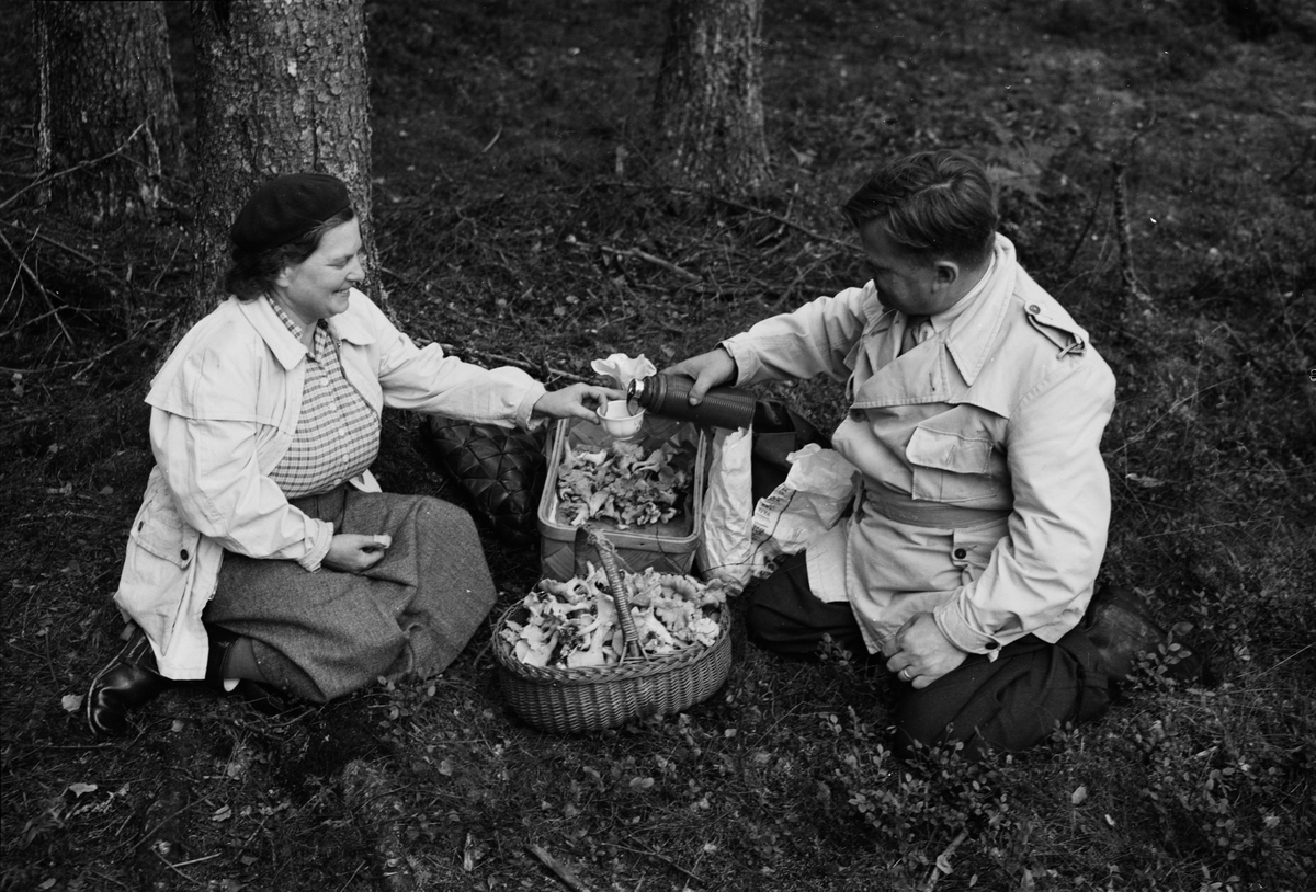 Kafferast vid Kursverksamhetens och Upsala Nya Tidnings svamputflykt till Järlåsa, Uppland 1951