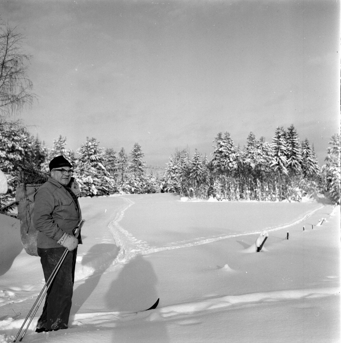 Rådjurshjälp sjuk get. Växsjö
Einar Brungs Röste
7/2-1966