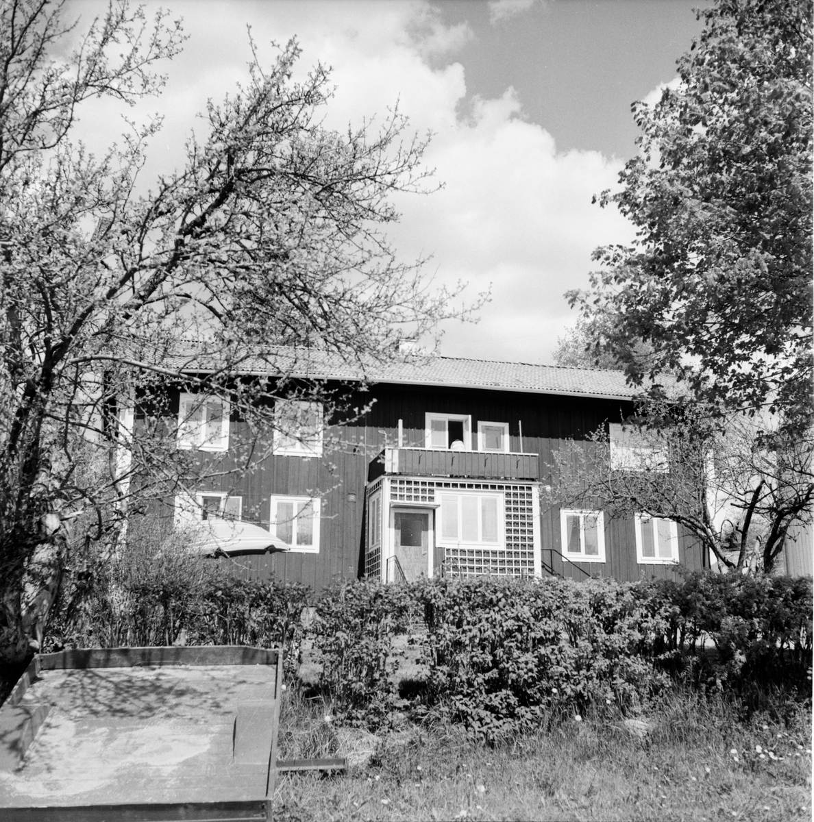 Knåda Olars trädgård.
29/5-1963
