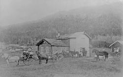 Hestfølge, gardsbruk, personer