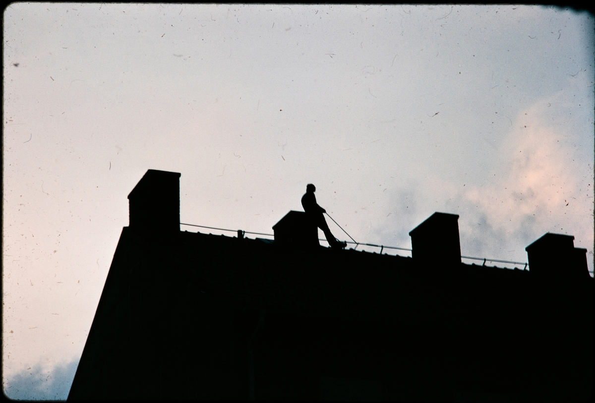Sotare på taket. Troligen Vänersborg.