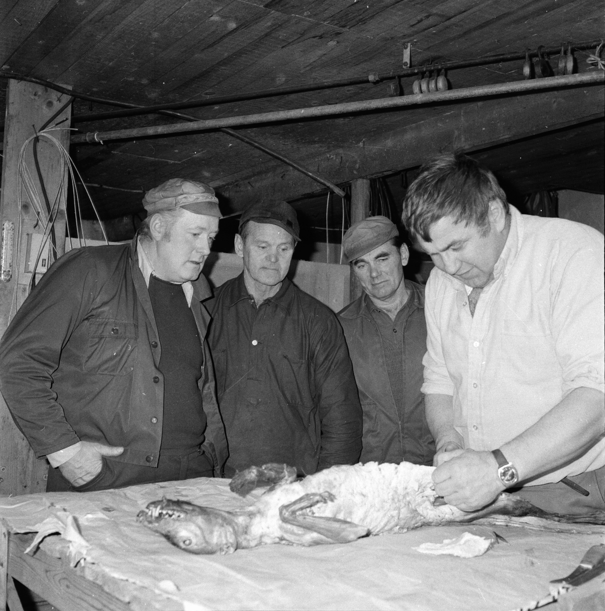 Jaktvårdarna på Nyhem.
November 1974