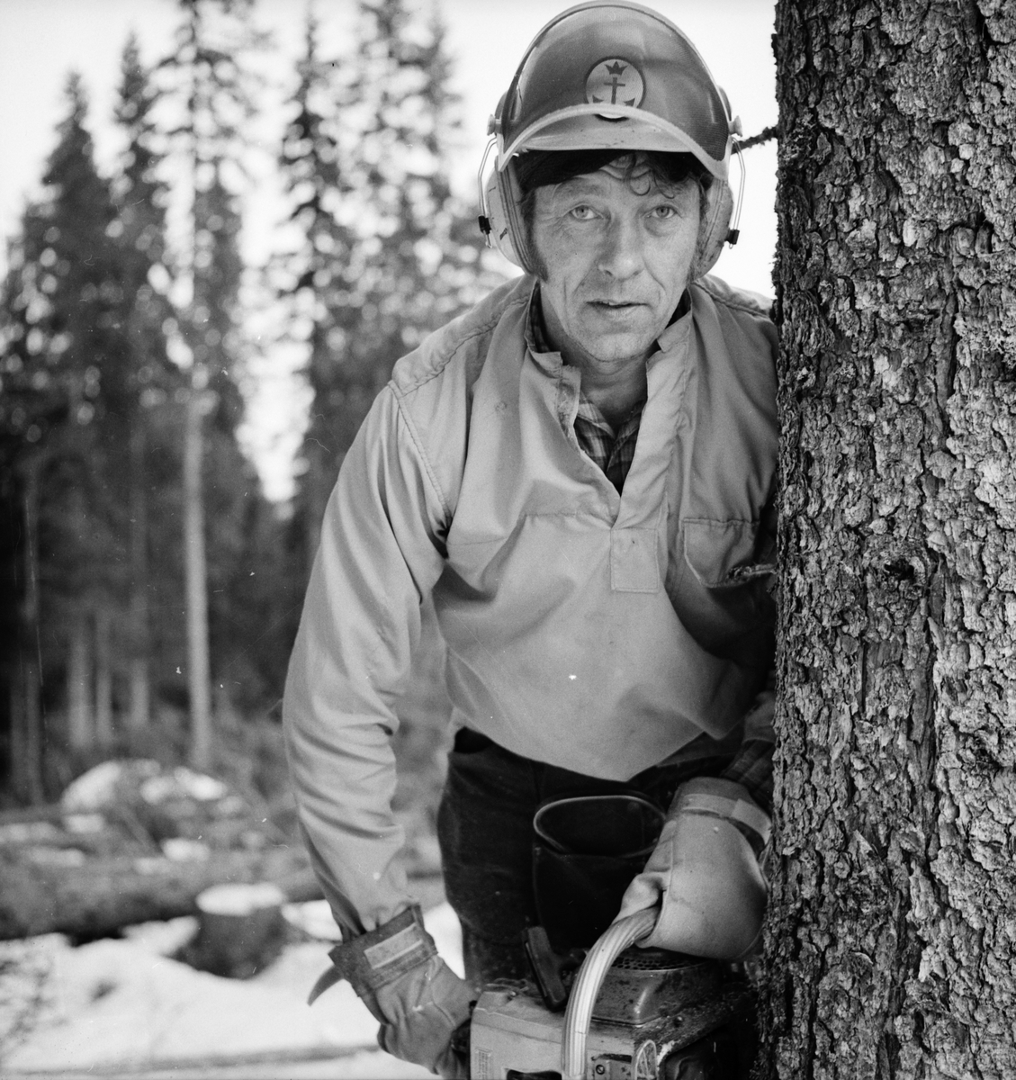 Skogsdrivning med Taito Sutinen i mars 1973.