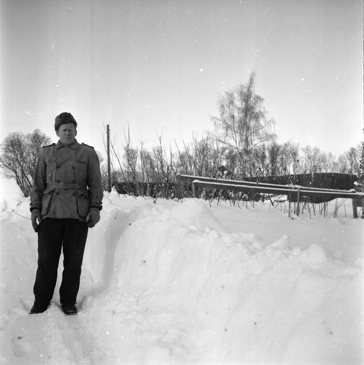 Trädgårdsmästare Gösta Hedlund
Januari 1956