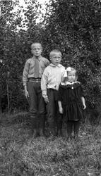 Tre uidentifisrte barn, to smågutter og ei småjente.
Fire b