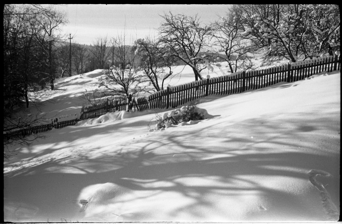 Vinterstemninger fra hage og gårdstun på Balke Vestre i Østre Toten. Serie på 8 bilder.