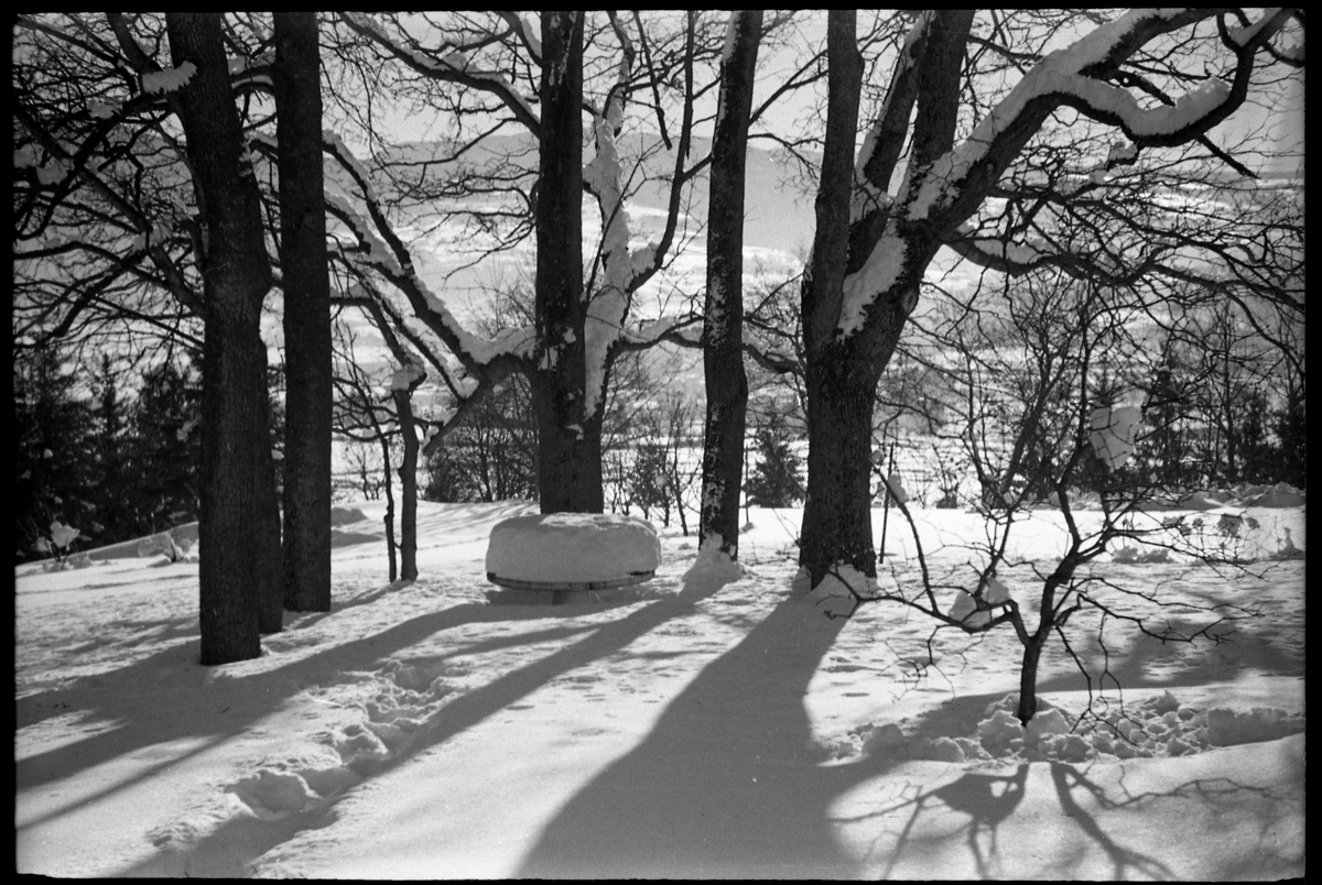 Vinterstemninger fra hage og gårdstun på Balke Vestre i Østre Toten. Serie på 8 bilder.