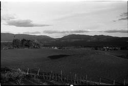 Utsikt sydover i retning Skjeppsjø-skaret fra fotografens ei