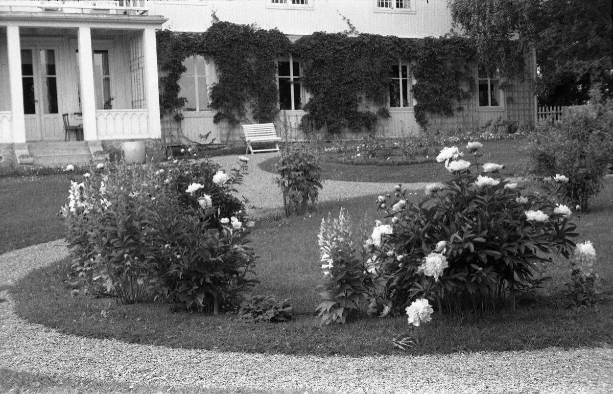 Seks bilder fra gårdsplass og hage på Rogenby øvre (Toten Offentlige Skole), Juli 1948.
