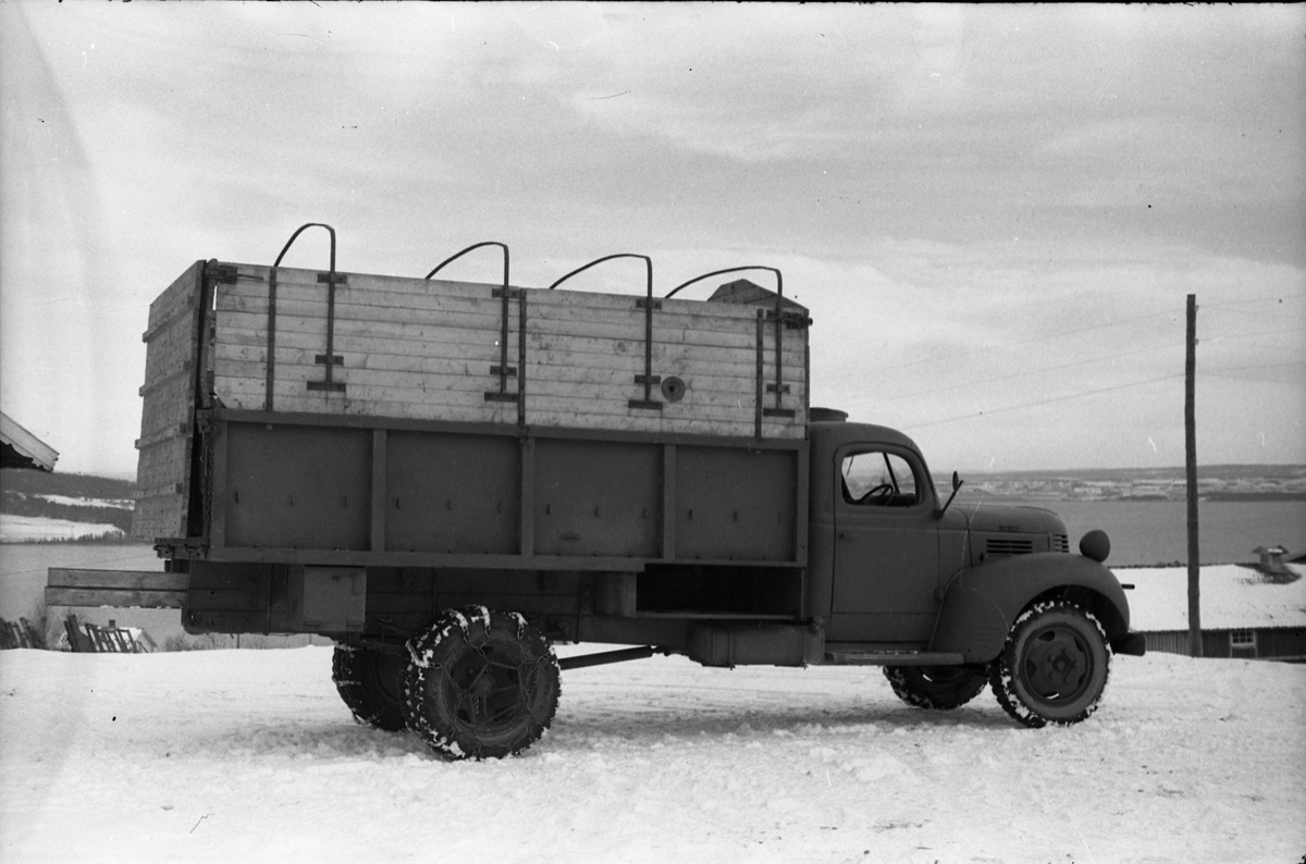Hestetransport med lastebil ved Hærens Hesteskole på Starum oktober 1948. Serie på 18 bilder.