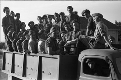 Soldater på en lastebil. Ingen identifiset. Trolig Starum ju