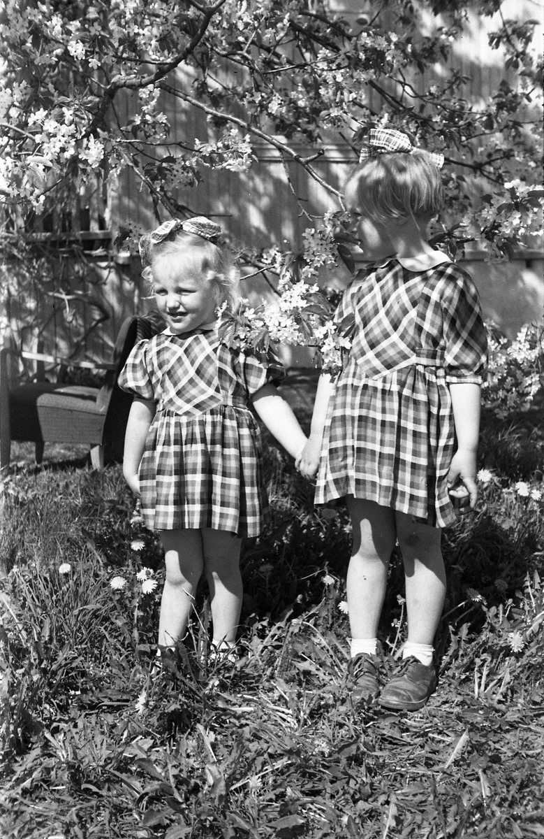 To jentunger i en hage foran et hus. Trolig Anne Lene (eldst) og Turid Sundby. Fire bildere.