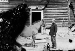 Mann med hest ved hus.
Glassplate skadet