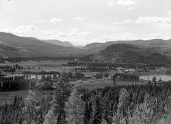 Oversiktsbilde, Nes i Ådal.