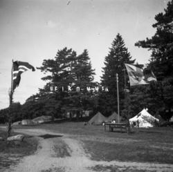 "16 (144)" .(ste181a)