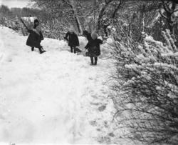 (Eske merket "Barna Namsos")