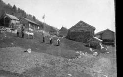 Bolig og uthus,hest,bunad.