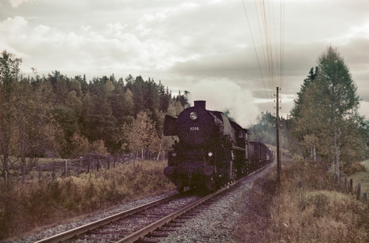 Underveisgodstog nær Garli stasjon på Dovrebanen. Toget trekkes av damplokomotiv type 63a nr. 6266.