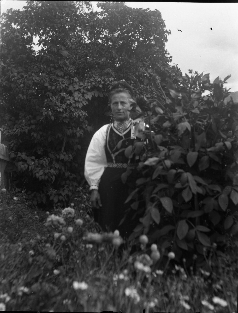 Rikard Berges fotoarkiv. Folk i bunader og klesdrakter fotografert på fjellet, 1905. Bildene er tatt av Johanna Bugge Berge. Bilde nr. 12 ant. Spellemannen Hans Smeland fra Seljord. Bilde nr. 21 ant. 17 mai, Seljord kirke.

Fotografier tatt av Rikard Berge. 642 nummer. Samlingen består av negativer bladfilm. Motivene er ført inn i egen protokoll av Berge. Protokollen har tittel "Bilæt-emne"