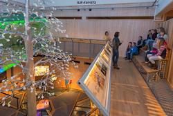 Lise Cats Myhre, som er biolog og rådgiver ved Norsk skogmus