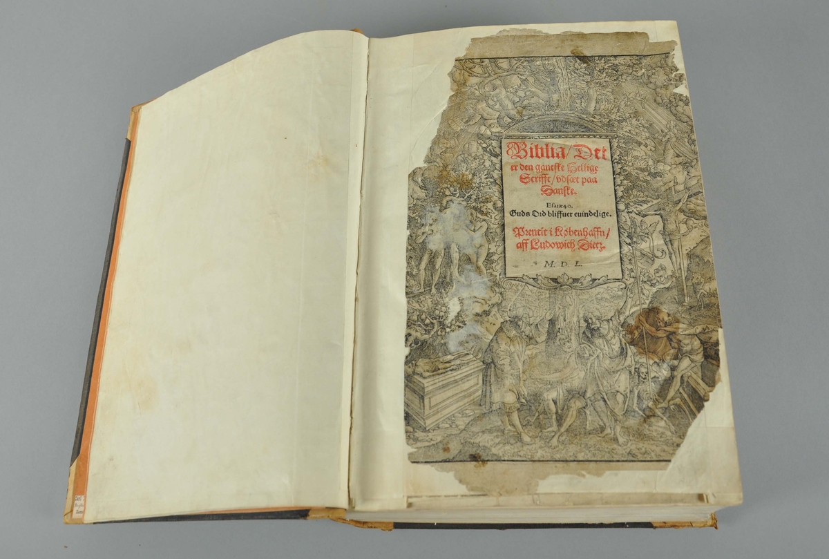 Bibel med illustrasjoner. Boken har et svart omslag av skinn. Boken er sannsynligvis bundet på nytt i senere tid.
