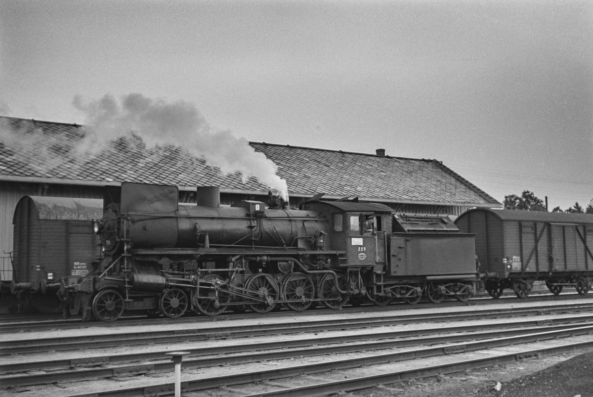Damplokomotiv type 26b nr. 229 i nordgående godstog på Røros stasjon.
