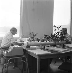 Menn ved kontorsplass.