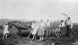 Slåttefolk, hest, ljå, river, slåmaskin