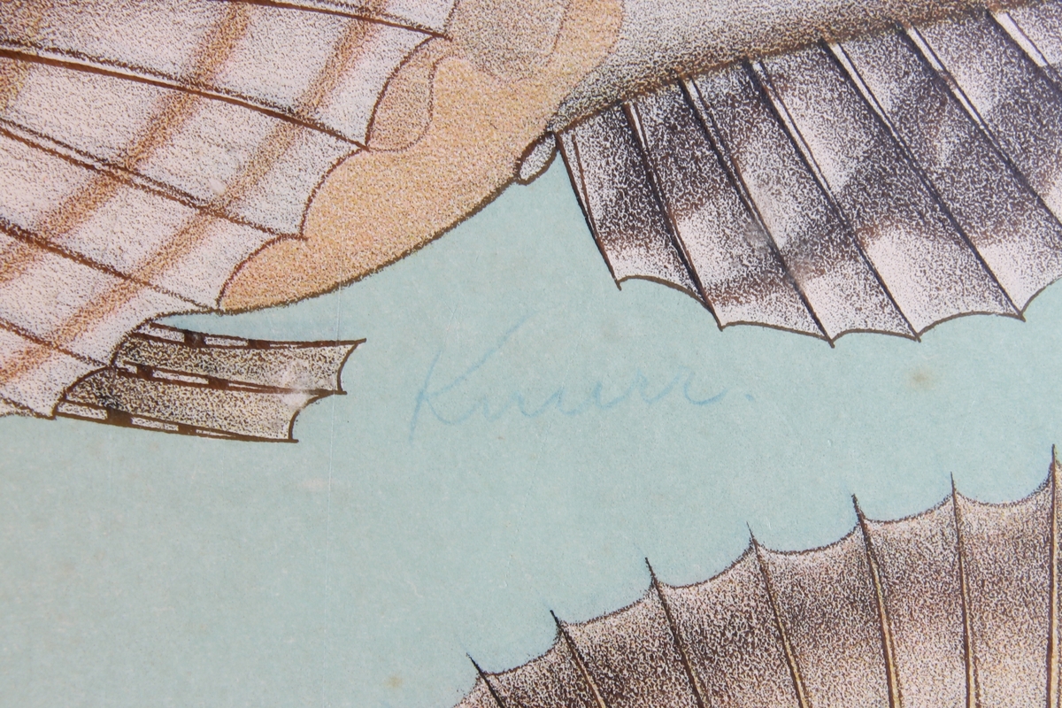 Detaljer av forskjellige fiskearter.