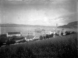 I. C. Piene & Søn i Buvika