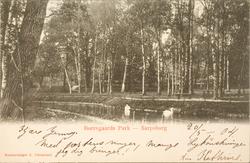 Borregaards Park, Sarpsborg