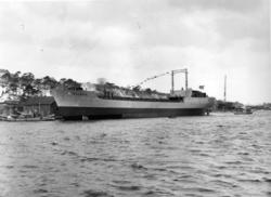 Byggenr. 40 v. LMV: Balduin
3: Nyblin