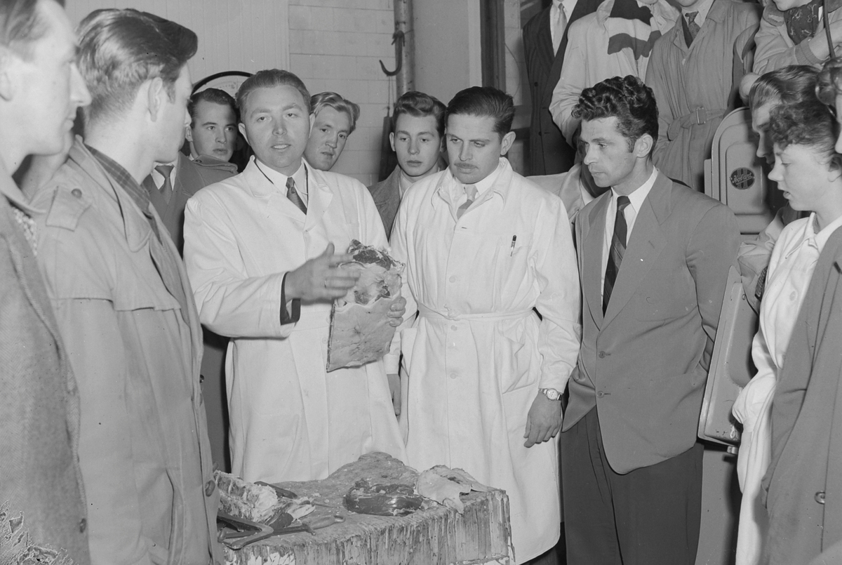 Elever fra Kokkeskolen på omvisning hos slakter Joh. O. Helgesen