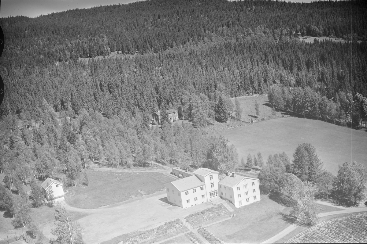 Winge turistheim, Vestsida,Tretten, Øyer, 16.07.1959, hotell, kulturlandskap, jordbruk, granskog