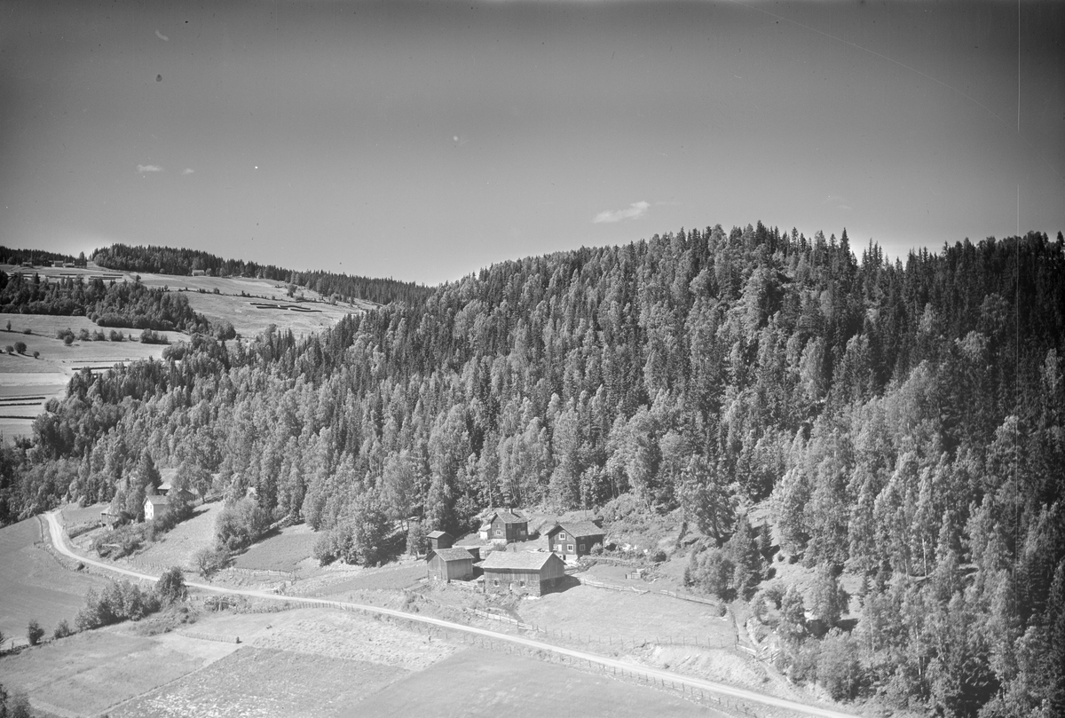 Hovde nørdre gård,Tretten, Øyer, 16.07.1959, kulturlandskap, jordbruk, slåttonn, hesjing, blandingsskog
