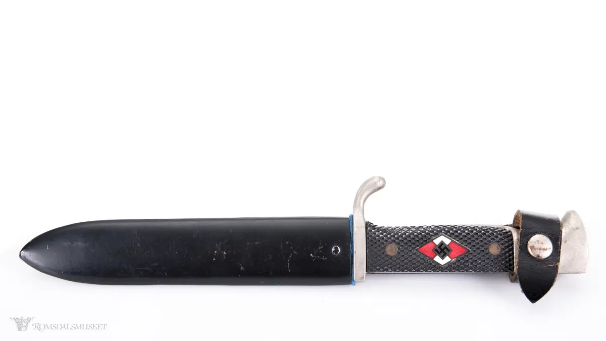 Diamantformet emblem med 2 røde og 2 hvite felter med hakekors i sort på mørk grønn bakgrunn. Scimitar med krone over på bladet.