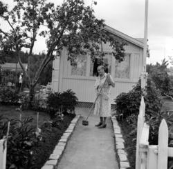 Sogn Kolonihage. August 1959