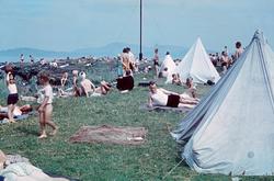 Badeliv og camping på Vikhammer