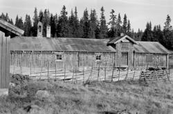 Nysetra setermeieri, Philske sameie, seterbruk på Hedmarken,
