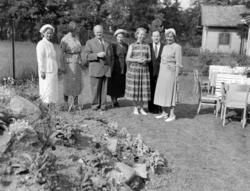 Ullevål sykehus. Avdeling 16. Juni 1953