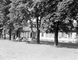 Ullevål sykehus. Avdeling 16. Juni 1953