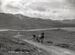 Syndin, Vestre Slidre.