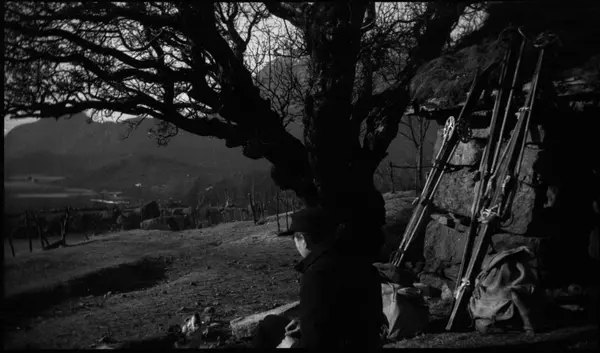 Skitur Bratteli, Lysefjorden. Lindtner, Arne Johannessen. 8.