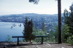 Utsikt over Trondheim fra Elsterparken