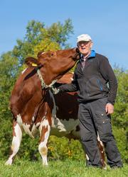 Egil Simensen (f. 1940), tidligere professor ved Norges vete