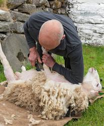 Fra "Fløttdagen" på Dølmotunet 2016, Tolga, Hedmark. Musea i