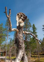 Bilder fra Blokkodden Villmarksmuseum ved Drevsjøen i Engerd