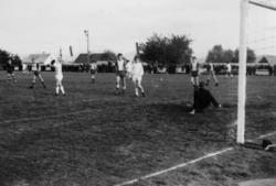 ."Molde FK, MFK, Molde fotballklubb"